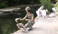 ZOO Hannover: ZOO Hannover je eden najboljših živalskih vrtov. Velik del zavzema Afriška savana, katero si obiskovalci lahko ogledajo tudi iz čolna nad vodo.