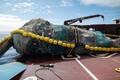 Projekt Ocean Cleanup: Kiin partner zbral rekordnih 55 ton plastike iz Pacifika