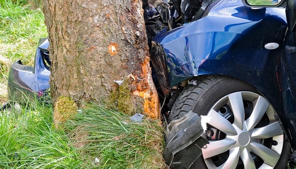 Študija zavarovalnice Allianz: Elektromobilnost ni za siromake