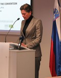 8. posvet in mednarodna poslovna konferenca ACS 2013: »Z inovativnimi rešitvami do novih poslovnih modelov v avtomobilski industriji«