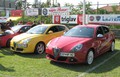 Klub Kraški Gadje: Najdaljša karavana vozil Alfa Romeo na Krasu podrla Guinnessov rekord