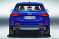 Novi audi SQ5 TDI: Prvi S-model znamke, opremljen z dizelskim motorjem 