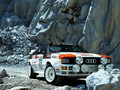 Audi quattro Group 4 Rally Car