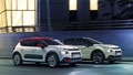 P Automobil Import d.o.o. in C Automobil Import d.o.o.: Rezultati poslovanja v letu 2016 in cilji za 2017