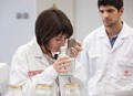 Delovna mesta prav posebne vrste: Pet najbolj neobičajnih poklicev v avtomobilski industriji