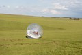 Nissan Note v žogi za zorbing: Ponazoritev varnostne tehnologije Safety Shield