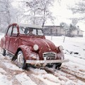 Citroën 2CV: Največji shod lastnikov na svetu