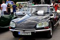 Citroën: Žabe, pujsi, spaki in hrošči na Vrhniki