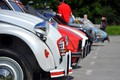 Citroën: Žabe, pujsi, spaki in hrošči na Vrhniki