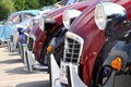 Citroën: Žabe, pujsi, spaki in hrošči na Vrhniki