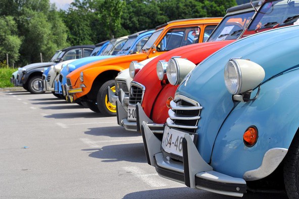 Citroën: Žabe, pujsi, spaki in hrošči na Vrhniki