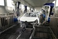 RENAULT CLIO I FEEL SLOVENIA: NAJBOLJŠE IZPOD DOLENJSKIH ROK!