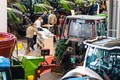 Hannover v malem : Agritech spremenil sejemsko dogajanje v Sloveniji!