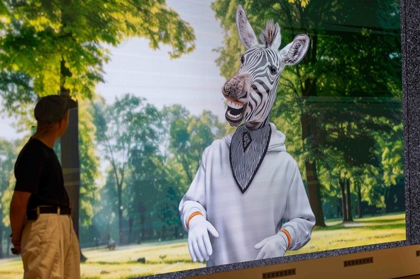 Prihaja Vid Zebra ...: Prvi digitalni prometni poročevalec na svetu 