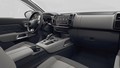 Citroën C5 Aircross: Najnovejši ambasador znamke