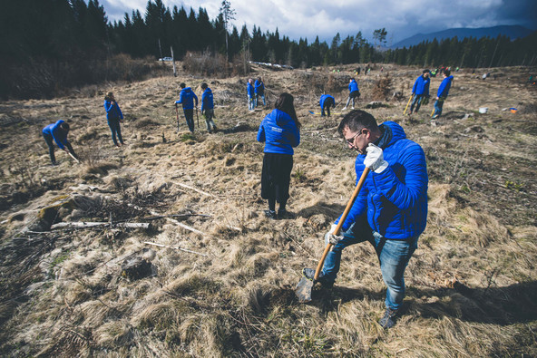 Odvrgli so poslovna oblačila in zavihali rokave : KO TRAJNOST IN ZMANJŠEVANJE OGLJIČNEGA ODTISA NISTA LE MODNI MUHI
