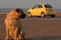 Fiat: »Vse najboljše, Fiat 500!«
