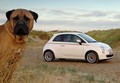 Fiat: »Vse najboljše, Fiat 500!«