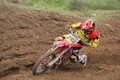 GAJSER