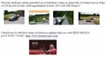 Klub Kraški Gadje & 5. fešta Alfa Romeo: Tradicionalno mednarodno srečanje