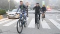 5. Krkin dan brez avtomobila : V Krki se že petič zapored pridružujemo akciji zelene mobilnosti