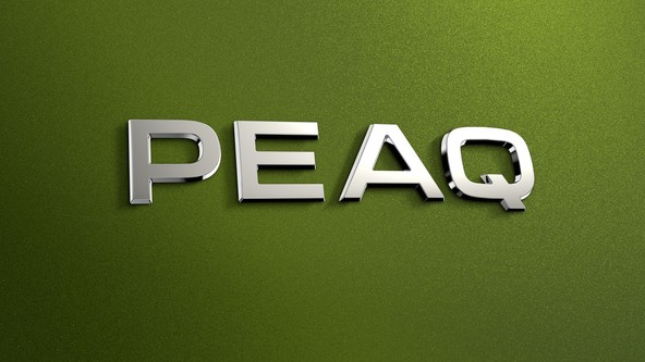 Škoda Peaq: Škodin novi električni 7-sedežnik 