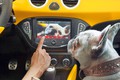 Opel ADAM: Z izvirnim dizajnom in potencialom individualizacije preprosto enkraten