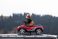 Rally Allgäu-Orient 2013: »Ena izmed zadnjih še obstoječih avtomobilskih pustolovščin«