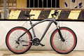 BMW Cruise M-Bike