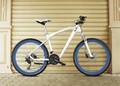 BMW Cruise Bike 