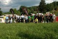 POSADITEV DREVESA