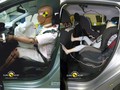 Peugeot 208 : Nagrajen s petimi zvezdicami Euro NCAP