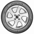 Goodyear Vector 4Seasons Gen-2: Auto Bild Allard na prvo mesto uvrstil Goodyearovo pnevmatiko