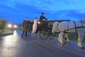 Poslovni avto leta (PAL) 2012: Znani so zmagovalci izbora za Poslovni avto leta
