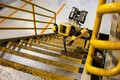 Fluffy in Spot : FORD EKSPERIMENTIRA S ŠTIRINOŽNIMI ROBOTI