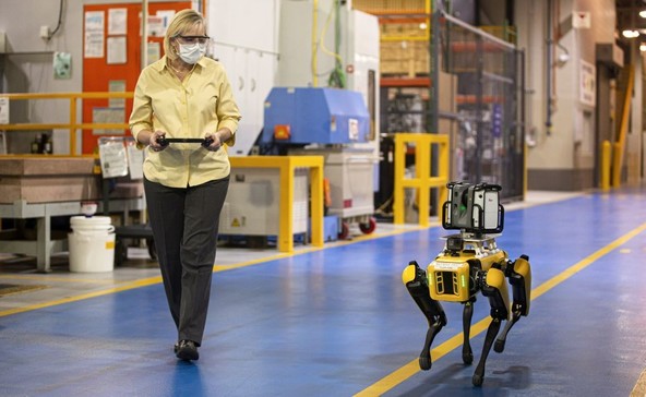 Fluffy in Spot : FORD EKSPERIMENTIRA S ŠTIRINOŽNIMI ROBOTI
