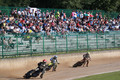 Speedway, svetovno prvenstvo posameznikov: Žagar drugi na ljubljanski dirki, Voldrih rezerva