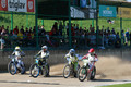 Speedway, svetovno prvenstvo posameznikov: Žagar drugi na ljubljanski dirki, Voldrih rezerva