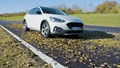Na čem bolj drsi – listju ali snegu?: Fordovi inženirji so odkrili presenetljiv odgovor