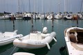 Ski & Sea & INTERNAUTICA 2013: Novost v prodajnem programu - gumenjaki ZODIAC MARINE