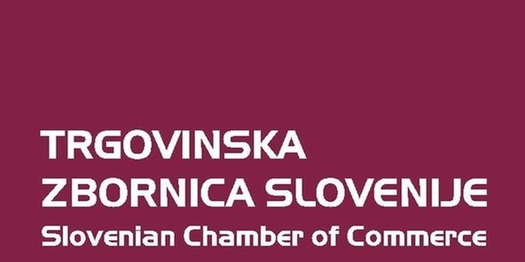 Novo predsedstvo Sekcije za osebna motorna vozila : Novi predsednik sekcije je postal g. Peter Verčič 