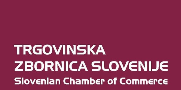 Novo predsedstvo : Sekcija za osebna motorna vozila pri Trgovinski zbornici Slovenije