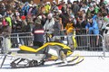 Ski & Sea & Winter X games: Logistični sodelavec na premierni ediciji Europe Winter X games