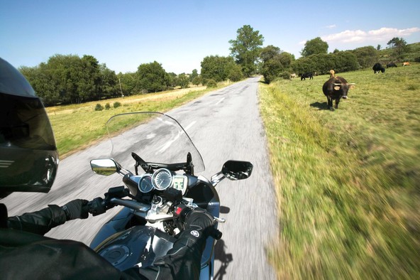 Zveza motoklubov Slovenije: Zahteva za asfaltiranje cestnih bankin