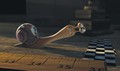 Chevrolet: Globalni sponzor animiranega filma Turbo