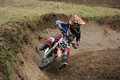 MX 50 - Hateier Botond