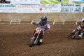 MX 50 Jaka Osek