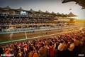 STEZA FORMULE 1 YAS MARINA: KRAJ ZA VRHUNSKO ADRENALINSKO DOŽIVETJE
