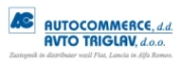 Avto Triglav: Reorganizacija v Avtu Triglav
