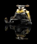 Bombardier Ski-Doo: Revolucija sani Ski-Doo